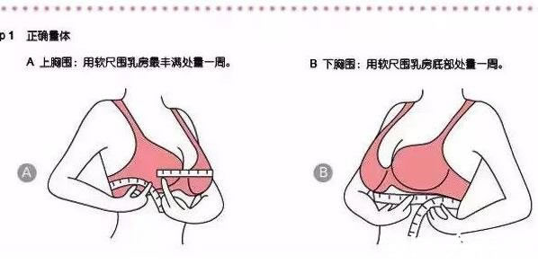 内衣罩杯abcd怎么计算区分大小(ABCDEFG是多大图片)