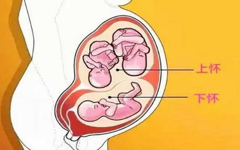 怀孕5个月上怀和下怀对照图(怎么判断自己是上怀还是下怀)