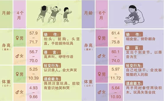 婴儿0一12个月发育标准图