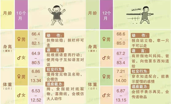 婴儿0一12个月发育标准图