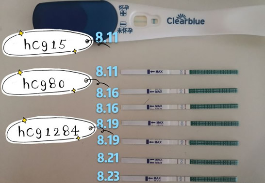 怀孕试纸测试图片(怀孕后试纸什么样子的)
