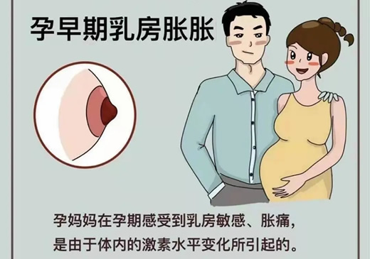 刚怀孕乳房症状变化(怀孕后乳房疼痛什么原因)