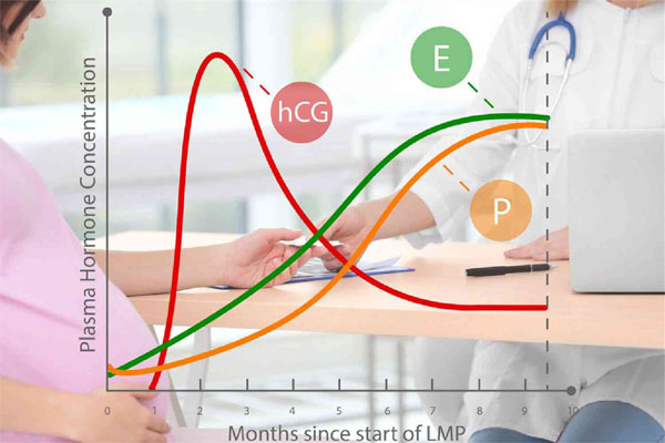 明明来例假了却又测出怀孕了(月经刚走验孕棒显示怀孕原因)