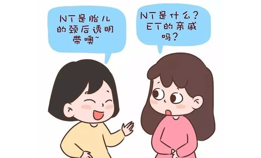 孕期nt检查男女区别(nt检查知识介绍)