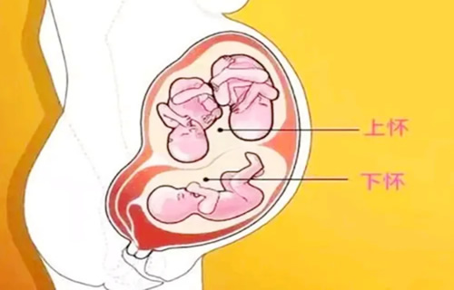 孕期上怀下怀能看男孩女孩吗(上怀和下怀区别是什么)