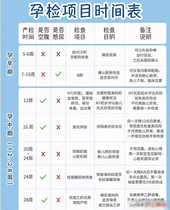 孕期1-40周注意事项(孕期检查时间图表)