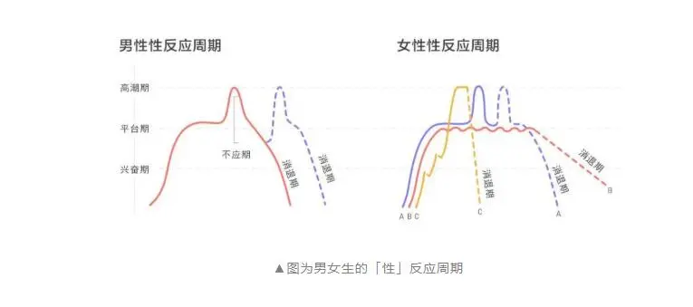 男女口爱的技巧有哪些(口交有哪些注意事项)