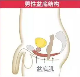 感觉自己的丁丁变小了,究竟是怎么回事？