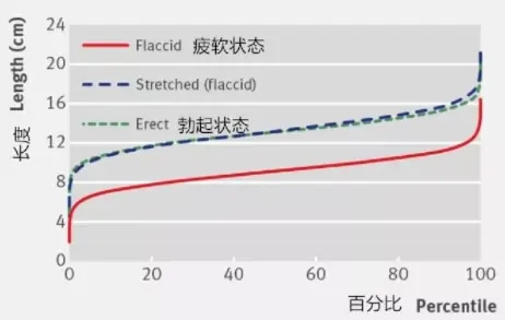 丁丁13cm的男生属于大还是小(13cm属于什么水平)