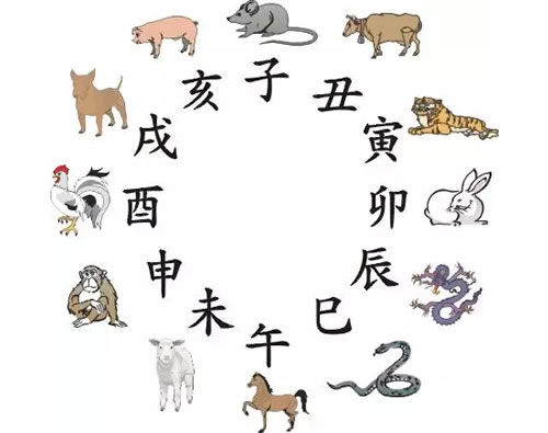 正确的十二生肖排序表图(十二生肖排名表)