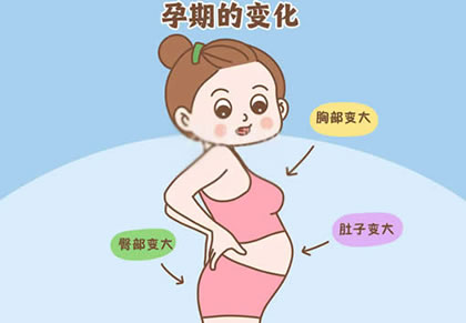 孕早期胸变大是不是必生女(都说孕初期先长胸的是女孩)