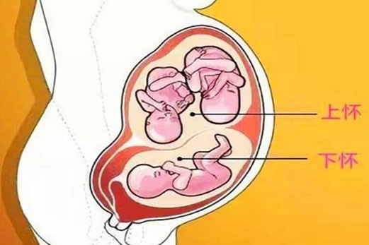 孕妇上怀和下怀的区别对照图(上怀和下怀的决定性因素)
