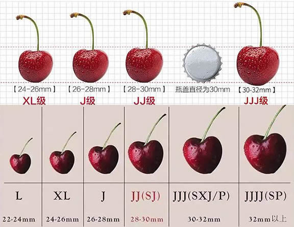 车厘子几个j代表什么意思 车厘子JD大还是JJ大(2j3j4j区分)