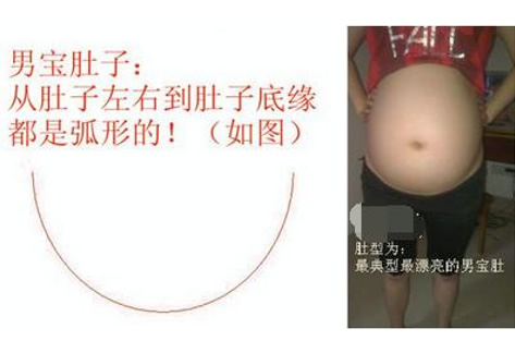 怀女宝腰长肉肚型图片(生男女孩的肚型是什么样)