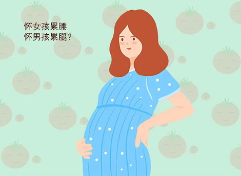 怀女孩累腰怀男孩累腿这个说法准吗 生男生女到底是由什么决定的呢