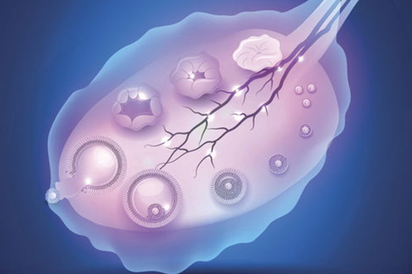试管促排容易出空泡的情况 促排出现很多空卵泡的原因