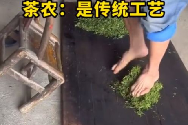 茶农称赤脚踩茶叶是传统工艺 茶叶是怎么制作出来的