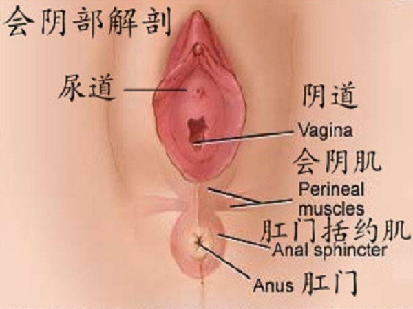 怎么知道自己几度撕裂(附一到四度撕裂伤示意图)