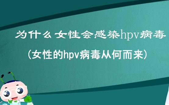 女人为什么会感染hpv病毒(女性的hpv病毒从何而来)