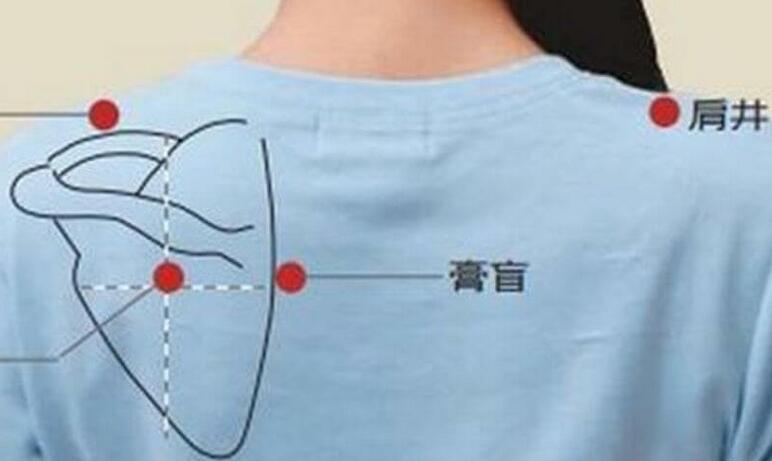 三伏贴穴位位置详细图(附病症主穴配穴表、使用贴敷方法)