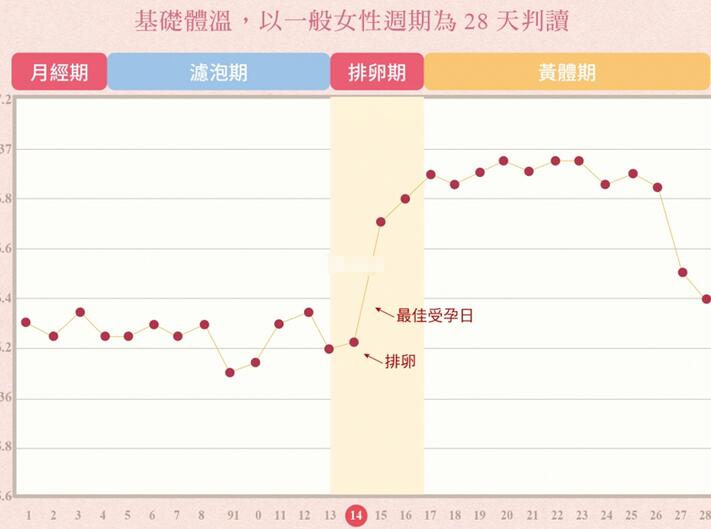 想要怀孕怀不上教你三招(一直怀不上孕应该检查什么和原因)