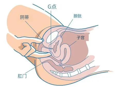 女人高潮后喷出的水是尿液吗(附喷潮湿怎么办到的)