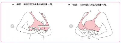 多大罩杯？什么杯型？详细聊聊女生应该怎样挑选bra