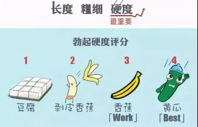 什么是性能力？如何提高性能力？