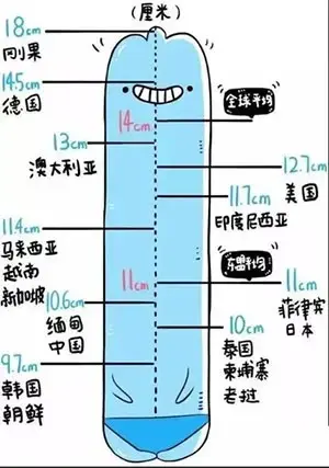 20cm的长度你可以接受吗？