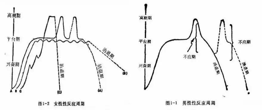 啪啪时男生最喜欢问什么问题？(女生勿入)