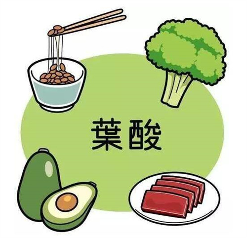 吃这7类碱性食物备孕期易生男孩(生男孩强碱性食物排名)