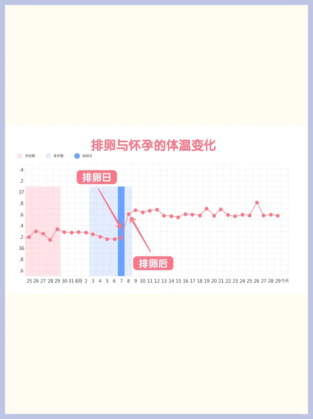 分享1个月怀孕的排卵笔记！第一就是要找准排卵日