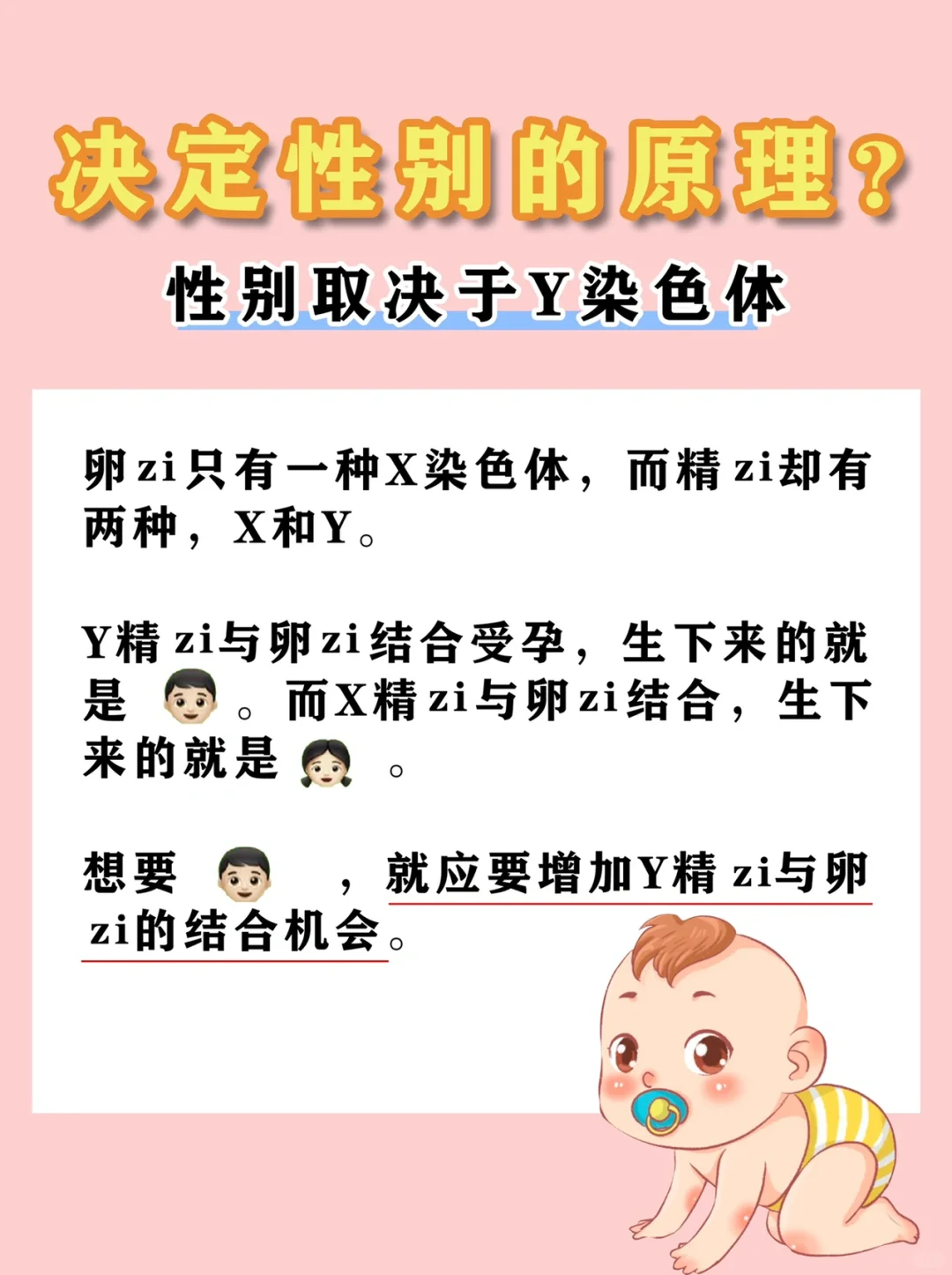 科学备孕小窍门！提高生男宝/女宝的几率,儿女双全