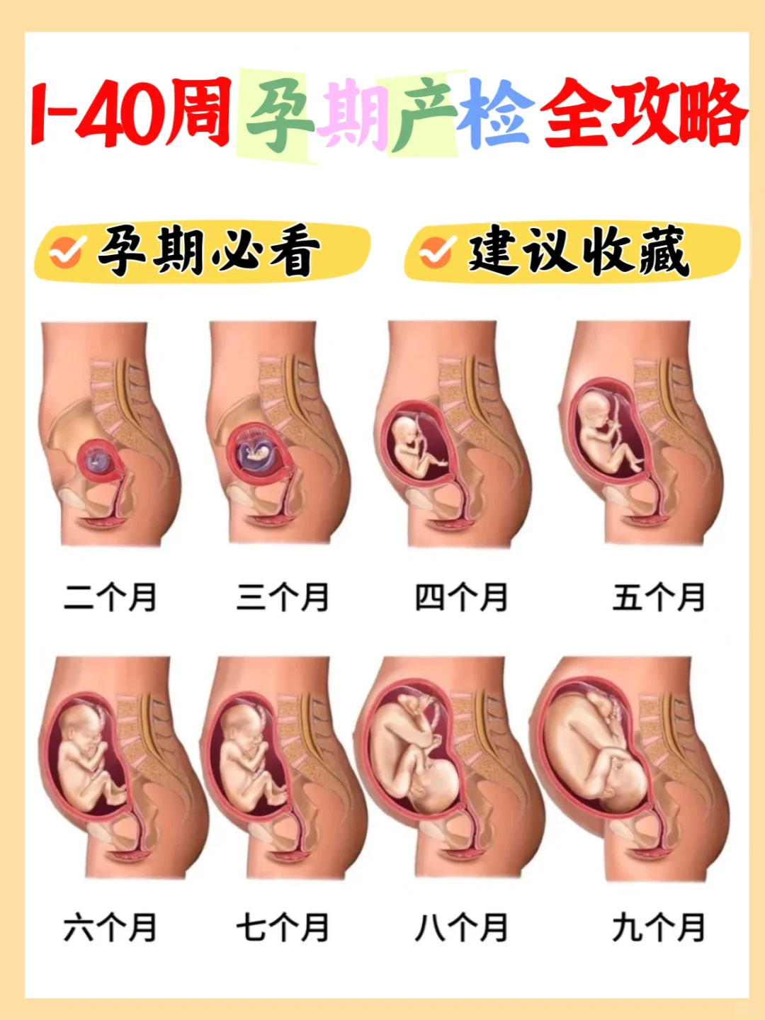 怀孕必看！1-40周孕期产检全攻略,一路绿灯哦