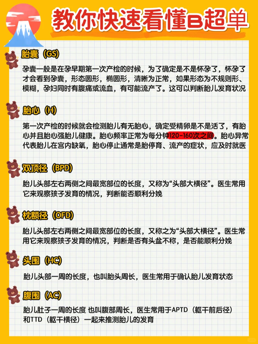 孕期产检时间表&教你看懂B超单｜准妈妈必读